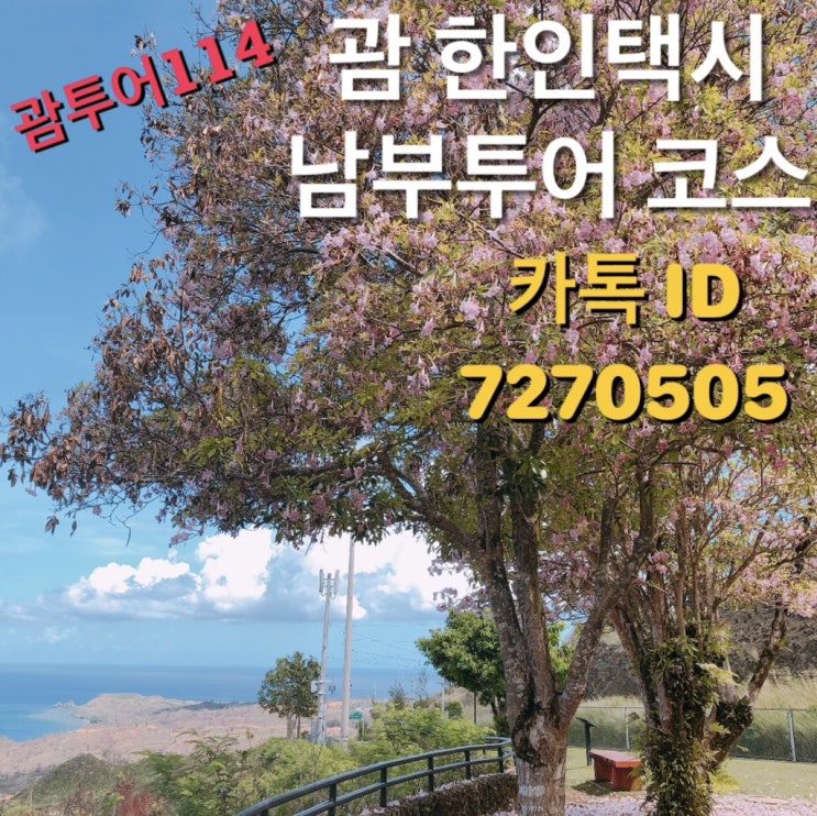  괌한인택시️괌택시️괌남부투어 코스예약