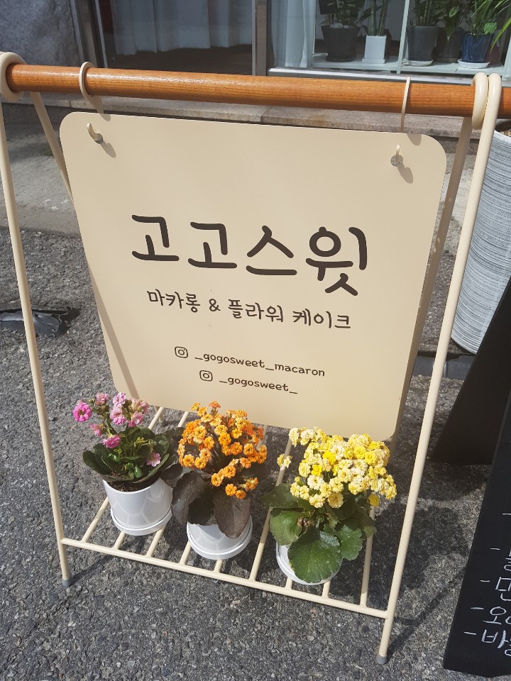  고고스윗마카롱 성남마카롱집