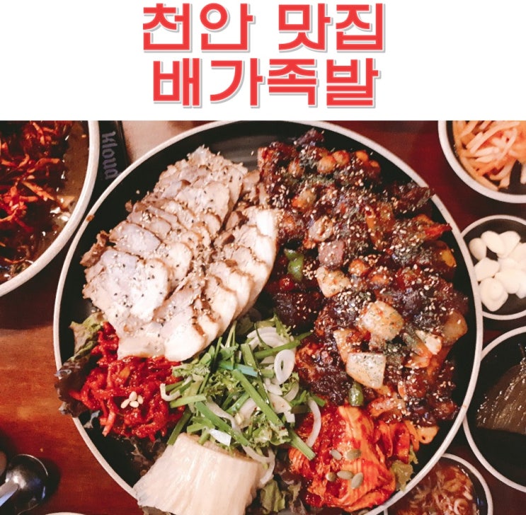  천안 신부동 맛집 배가족발 보쌈+불족+막국수