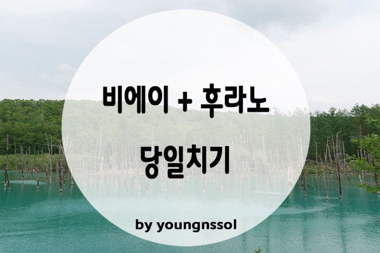  [삿포로 근교여행] 삿포로에서 비에이+후라노 당일치기 / 비에이 맛집 추천!