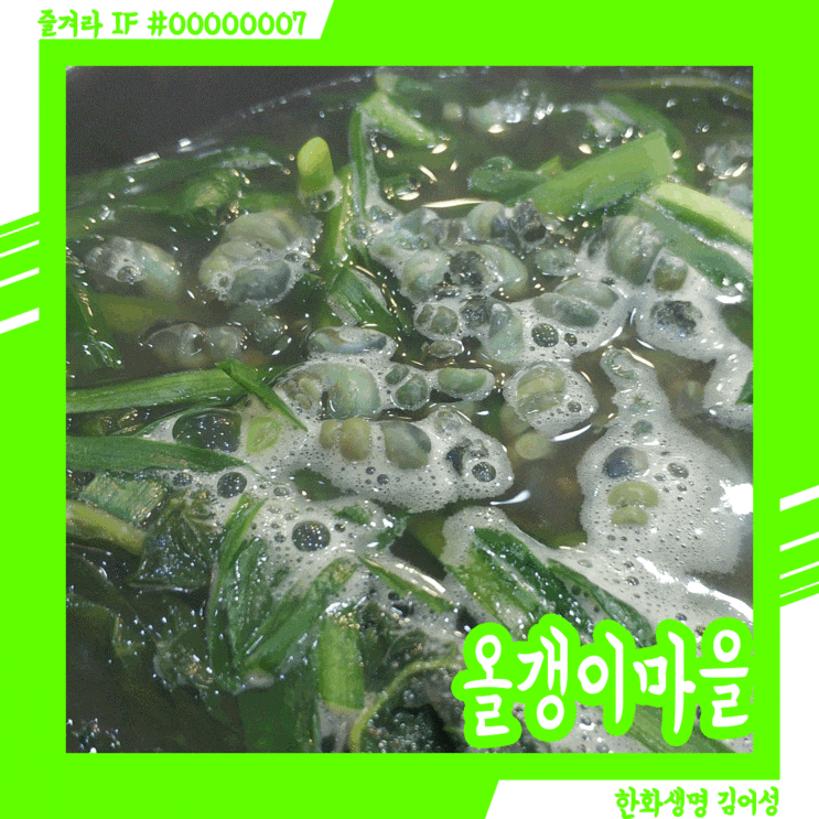  올갱이 마을에서 올갱이 효능 삐리빠라뽕