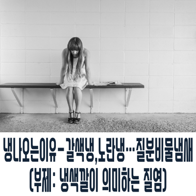  냉나오는이유-갈색냉,노란냉…질분비물 냄새 (부제: 냉색깔이 의미하는 질염)