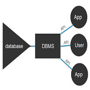 데이터베이스 관리 시스템 & NoSQL & 몽고DB (관계형 / 비관계형 / DBMS / RDBMS / SQL / MySQL / 오픈 소스 / 문서 지향형 / 오라클)