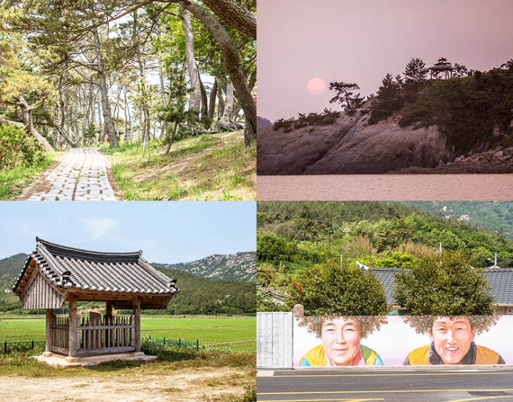  추천여행지,자동차로 즐기는 4색 섬 여행, 신안 태도-팔금도-안좌도-자은도