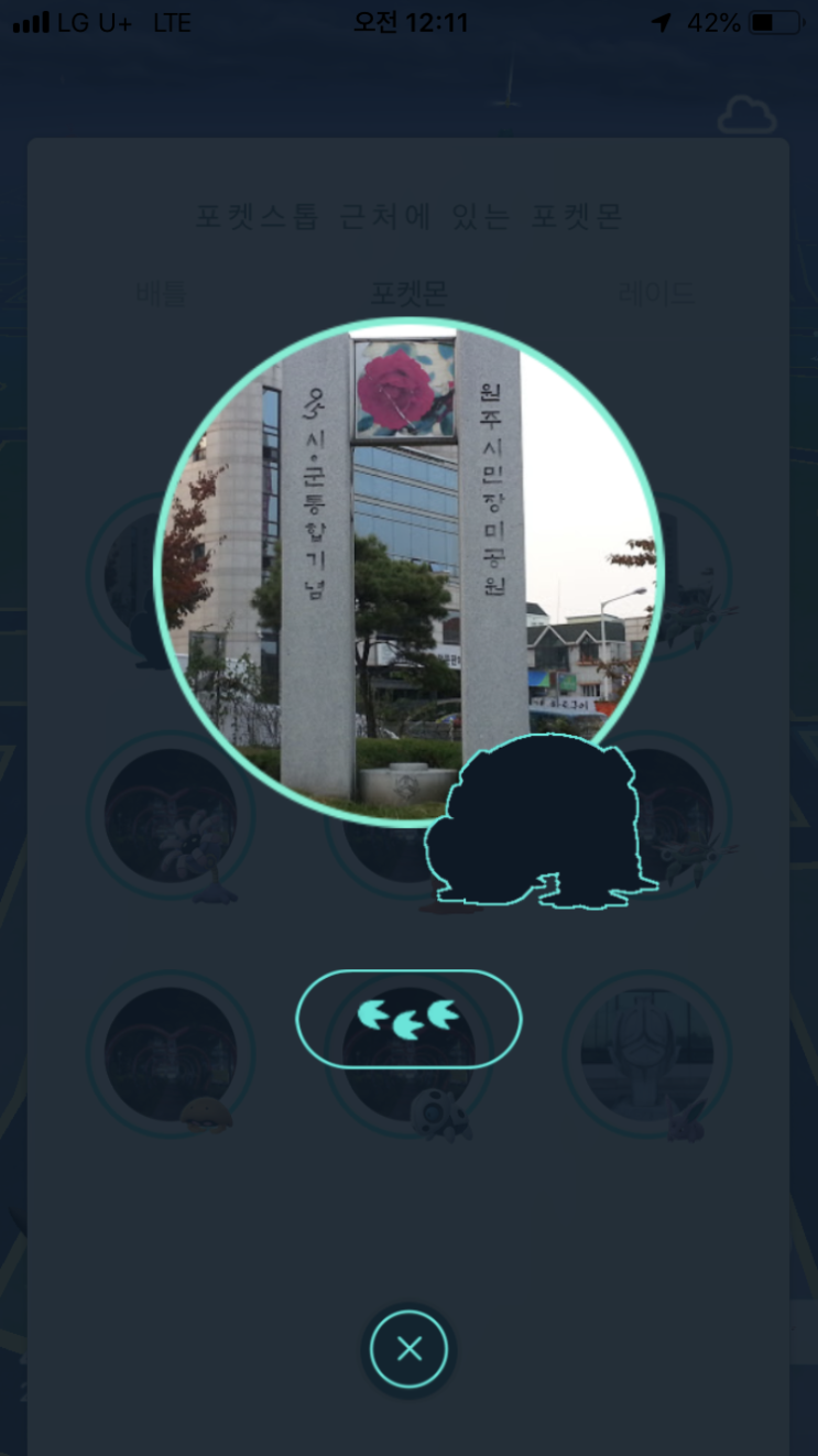  하마돈이 야생에 등장!