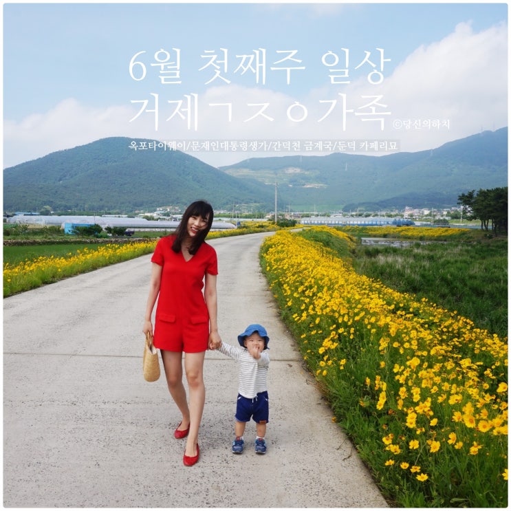  거제ㄱㅈㅇ가족 6월 1주 일상::둔덕 카페리묘,옥포 타이웨이, 문재인대통령생가, 간덕천 금계국
