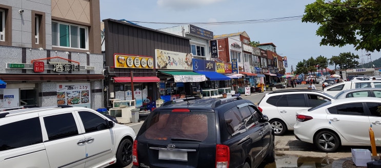  강진 마량항 _ 마량놀토수산시장 아담하지만 가성비가 좋다