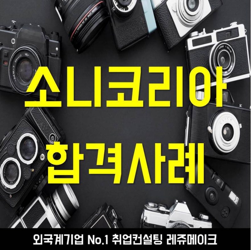외국계기업 소니코리아 채용 합격사례 Sony