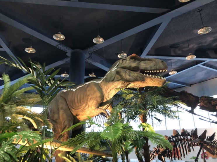 공룡박물관!아이와 미호박물관에서 공룡을 만나다
