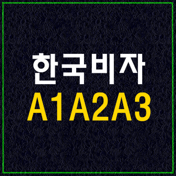  한국비자종류1(A1 A2 A3)