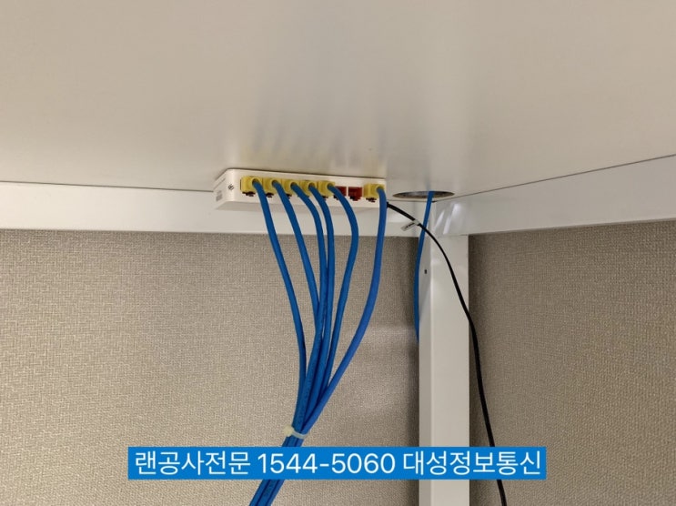  [성수동]사무실랜공사 & 사무실이전구내공사