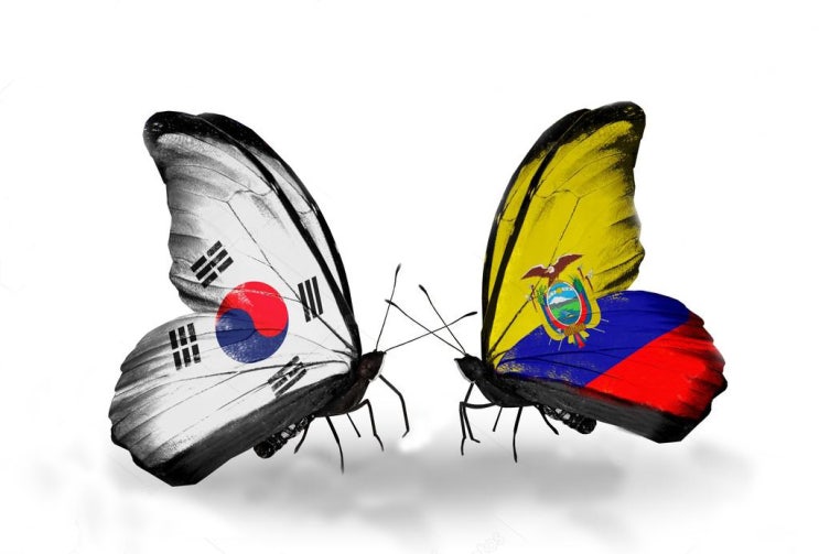[U20WC 4강] 한국(대한민국) vs 에콰도르, 결승까지 단 1경기 :  피파랭킹·중계·일정 확인