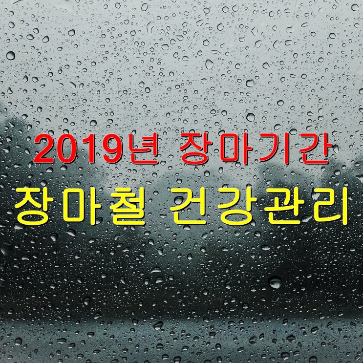 2019년 장마기간 언제부터? 올해 장마시기 건강관리 꿀팁