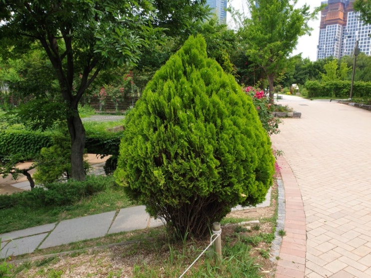  목에 가래낀 느낌, 아침에 눈뜨자마자 나타난다면