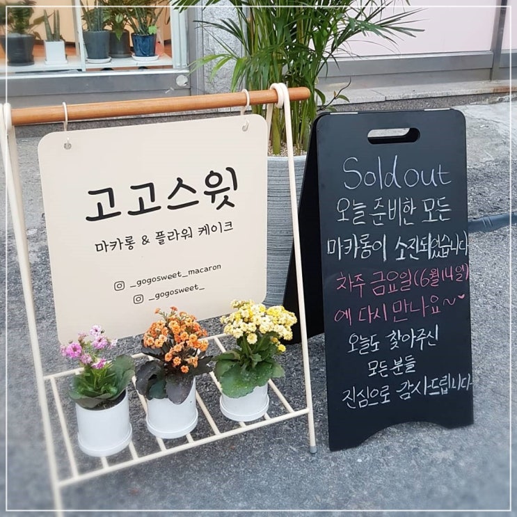  성남 뚱카롱 바로 너다!! 이름부터 달달함이 전해지는  고고스윗마카롱~