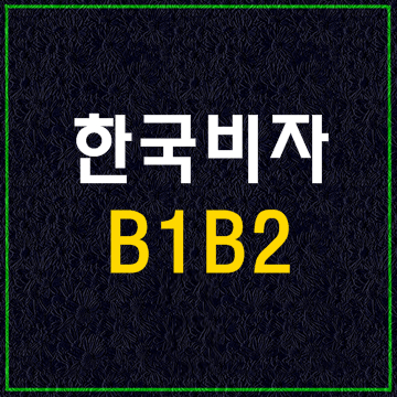 한국비자종류2(B1 B2)