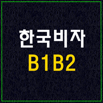  한국비자종류2(B1 B2)