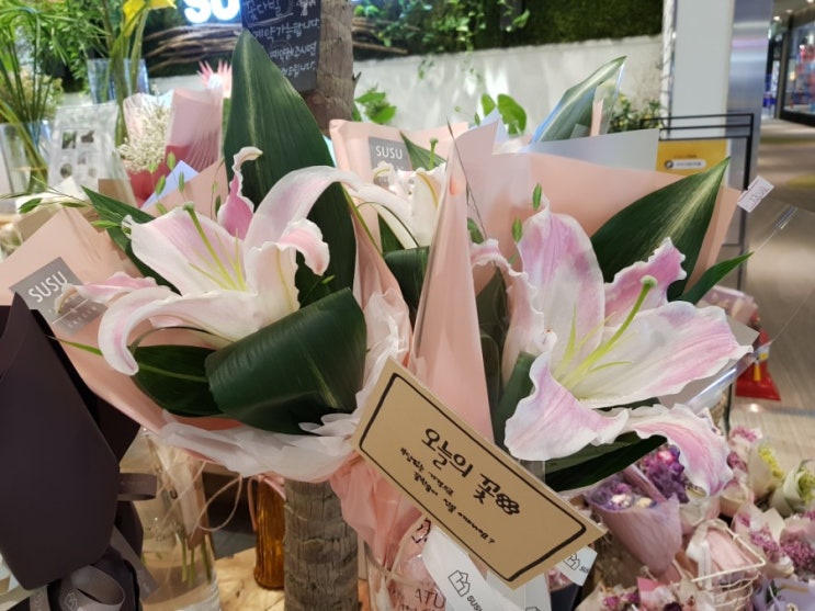 신림동 데이트, 두만강 샤브샤브 양꼬치