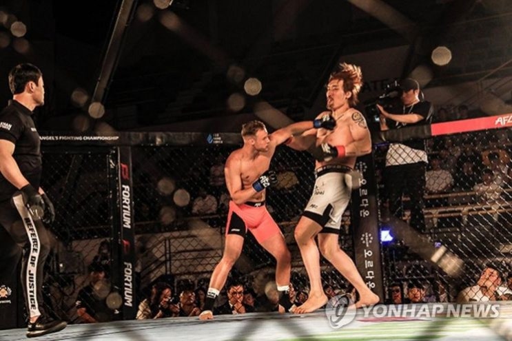  19개월 만에 링위에 오른 최홍만 선수, KO패배