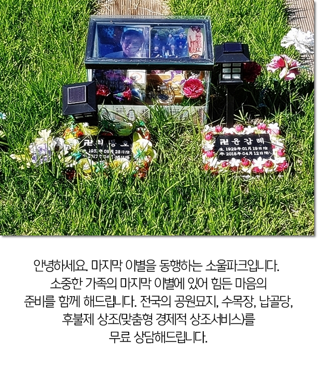  자연장지 이것만 정보 베스트