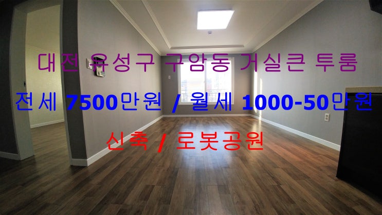  (대전 유성구 구암동) 로봇공원있는 조용한 동네~^^저렴한 거실큰 신축 투룸이에요 .