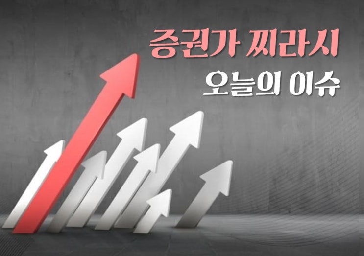  [데일리이슈] 주식 증권가 찌라시(6월 11일)