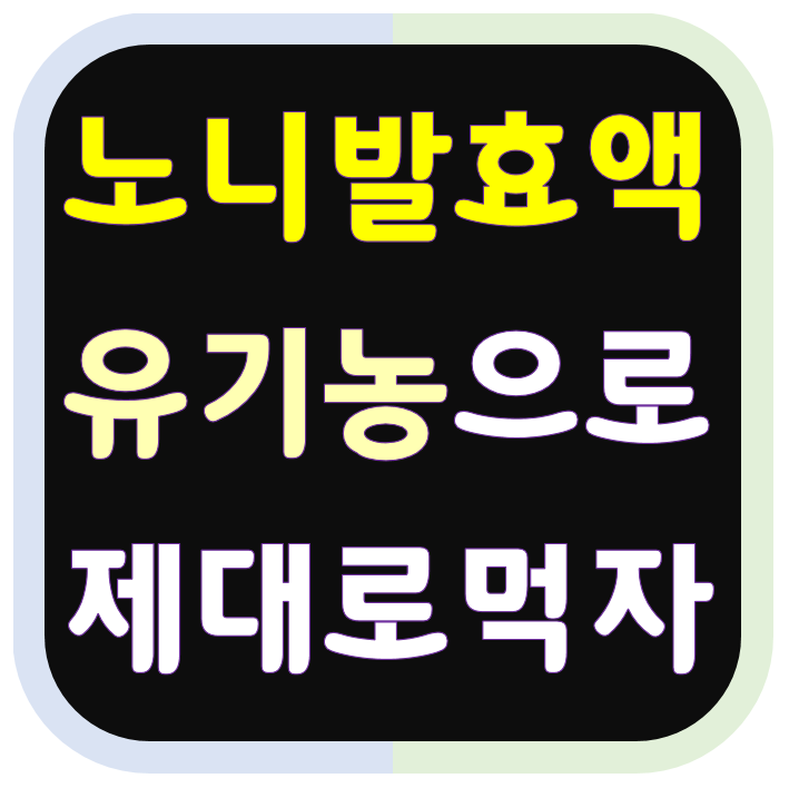 노니발효액 안심하고 먹으려면 꼭 유기농노니로!