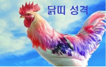  닭띠 성격 간략 정리