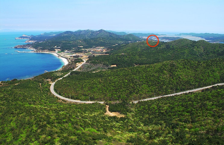  백령도 사항포 해안 후방 임야매매 / 가을리 (임) 19,500 / 준보전산지