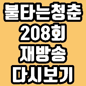 불타는청춘 최민용 이의정 208회 재방송 다시보기 방송시간 편성표