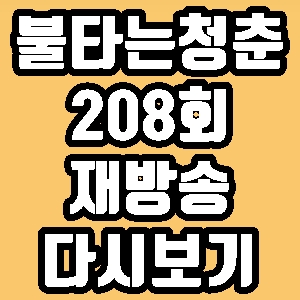  불타는청춘 최민용 이의정 208회 재방송 다시보기 방송시간 편성표