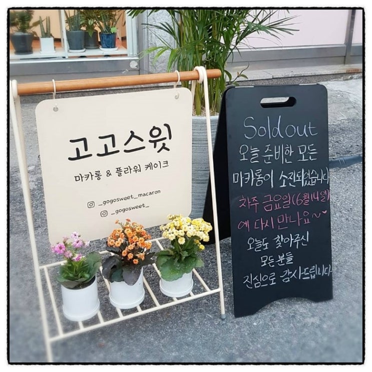  분당 뚱카롱으로 유명한 <고고스윗마카롱>에서 소중한사람에게 선물을 해보세요~##