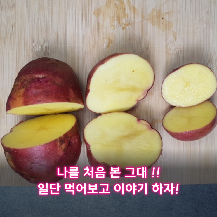  2019 홍감자 제철시기 및 5kg, 10kg, 가격정보