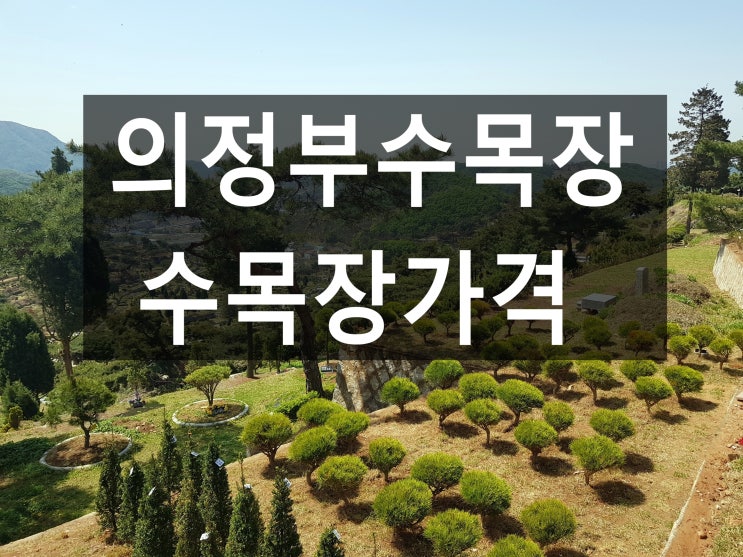  의정부수목장 가격과 위치를 안내드립니다.