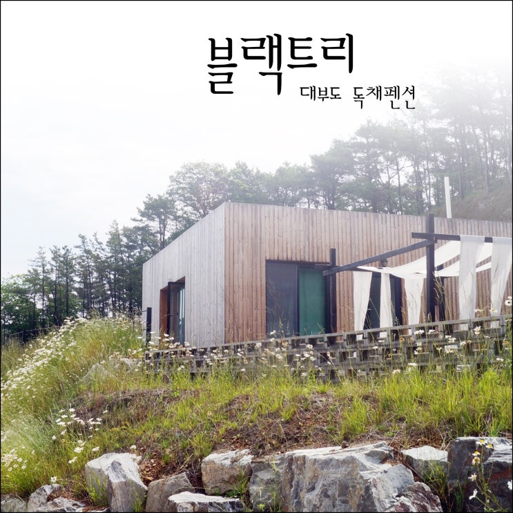  대부도 독채펜션 블랙트리, 가족펜션으로 딱이에요!