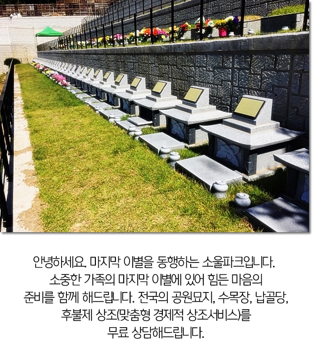  분묘기지권 이것만 정보 힐링타운