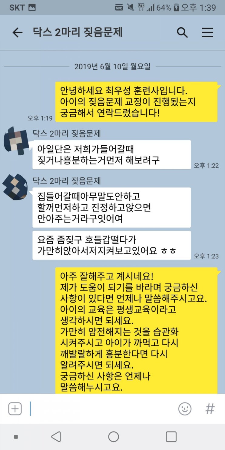  무료상담했던 다견가정.