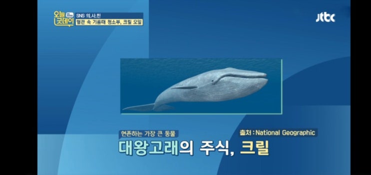  [세상이야기] 크릴오일..아스타잔틴 몸에 좋은것들 이야기