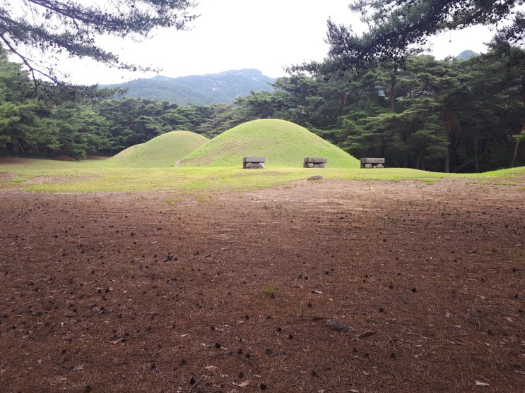  경주 삼릉