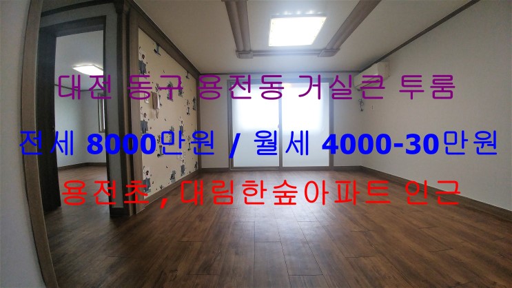 (대전 동구 용전동) 용전초등학교 , 대림한숲아파트 인근에 있는 거실큰 투룸이에요 ~ ^^