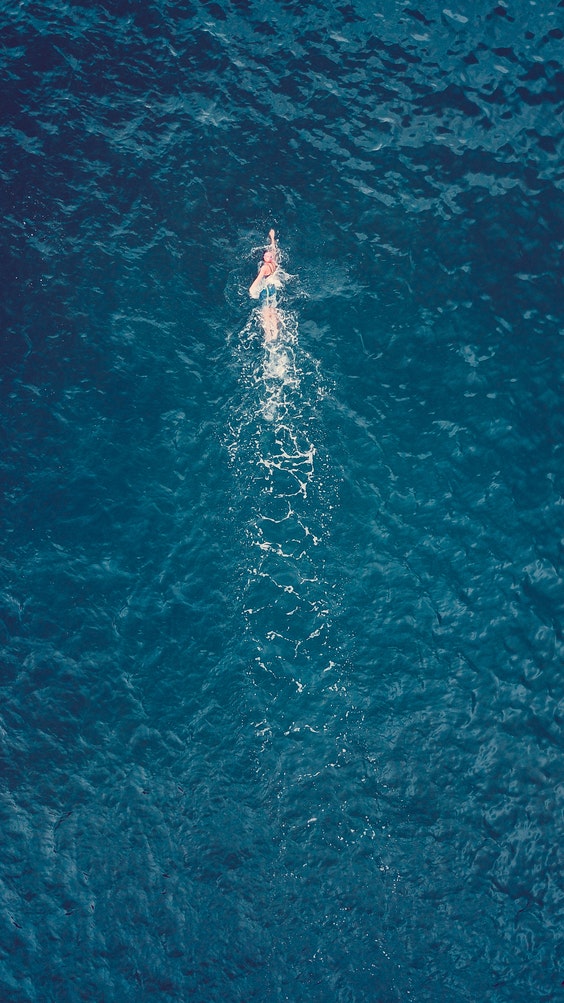  수영초보(Swim) D+36 : 평영 팔 돌리기