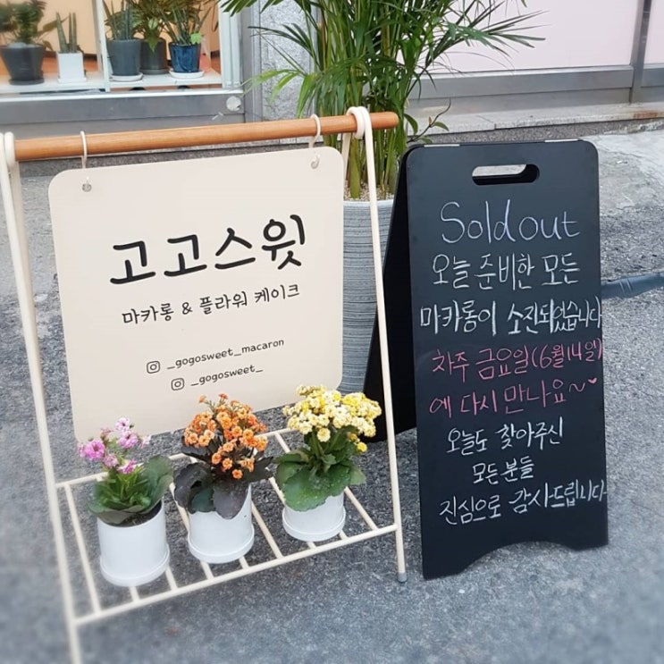 성남 마카롱 [고고스윗마카롱]에서 당충전 따봉이죠