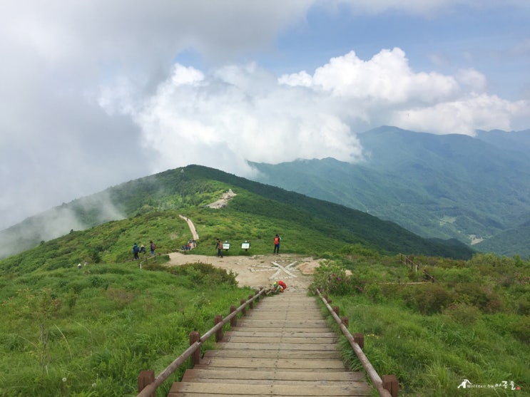  지리산 노고단 트랙킹