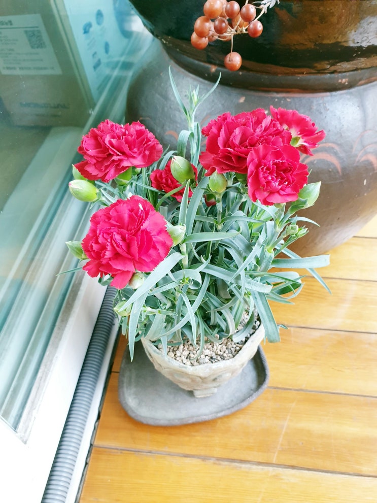  2019. 05 [일상] 임파선 통증, 헤어변화, 영화어벤져스엔드게임, 어버이날, 영화주먹왕랄프1, 영화걸캅스, 영화로마위드러브