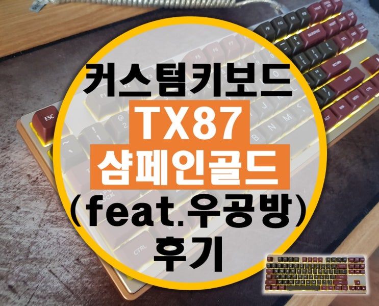 커스텀 키보드 TX87 샴페인골드(샴골) 사용기 (feat. 우공방)