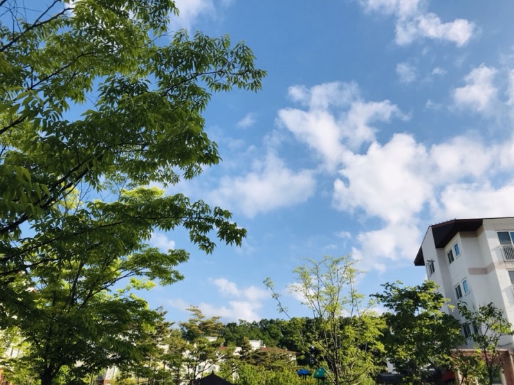  오늘의 날씨 실화?