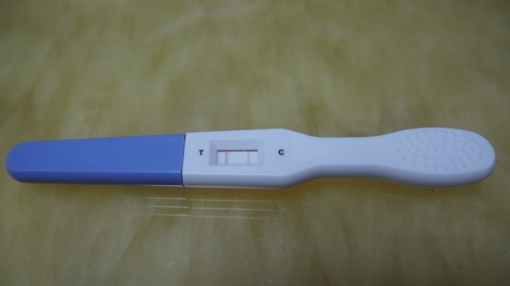  갱년기진단 , 휴마시스 폐경테스트 통해 간편하게 셀프진단 후기