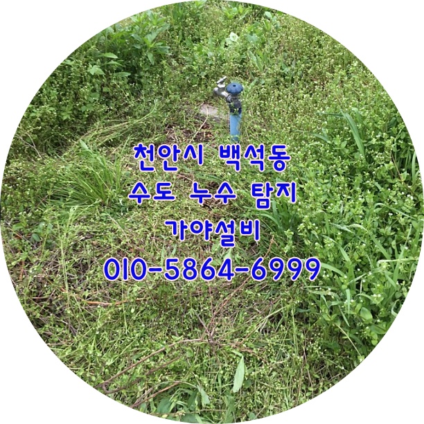  천안 백석동 백석공단 수도누수탐지 수도배관누수 누수배관공사 천안누수탐지전문업체