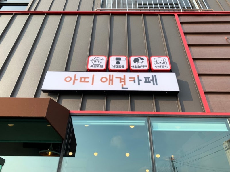 아띠애견