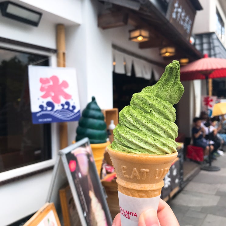  춘자투어 오사카 교토 나라 버스투어 후기! 나라 사슴공원/뵤도인/우지  녹차거리 / 금각사 / 아라시야마